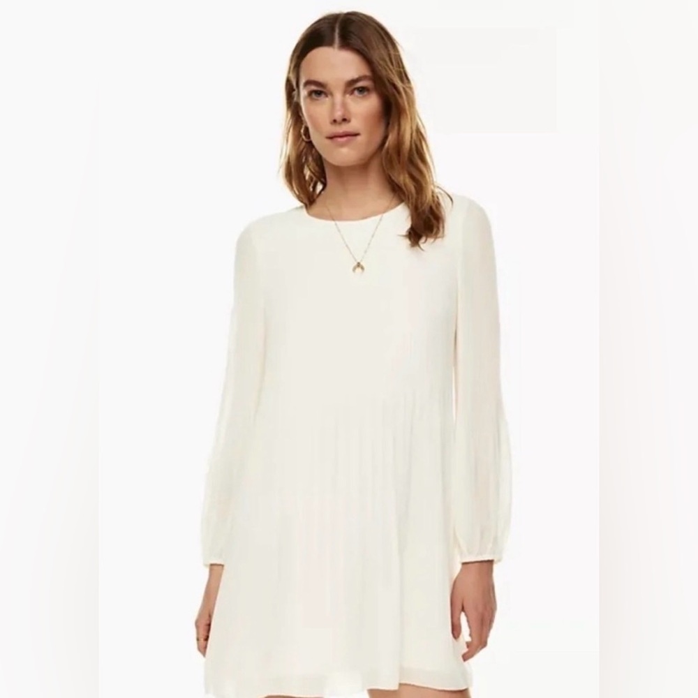 Aritzia Wilfred Daydreamer Mini Dress
